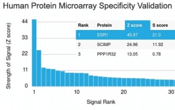 Estrogen Receptor Antibody (aa2-185, clone ER506, Azide-free, BSA-free)