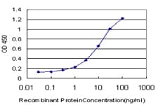 HCLS1 Antibody (clone 2A6)