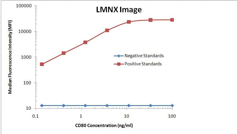 CD80 Antibody (clone OTI11G5)
