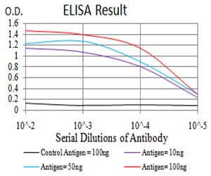 KDM1B Antibody (clone 5E10C1)
