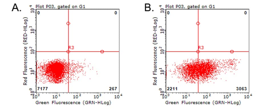 CD274 / B7-H1 / PD-L1 Antibody (clone OTI9A5)