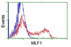 MLF1 Antibody (clone OTI2C10, Carrier-free)