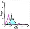 Monoclonal Mouse anti-Human ANPEP / CD13 Antibody (clone WM-15 (WM15), FITC)