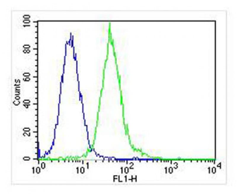 p56lck / LCK Antibody (clone 1526CT823.75.16)
