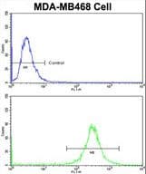 HCCS1 / VPS53 Antibody (aa111-140)