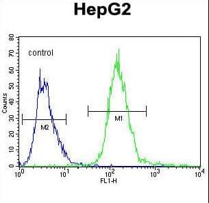 Rabbit Anti-IGHG1 / IgG Secondary Antibody