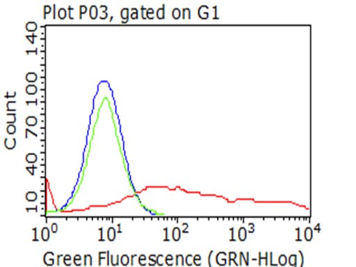 PECAM-1 / CD31 Antibody (clone UMAB29)