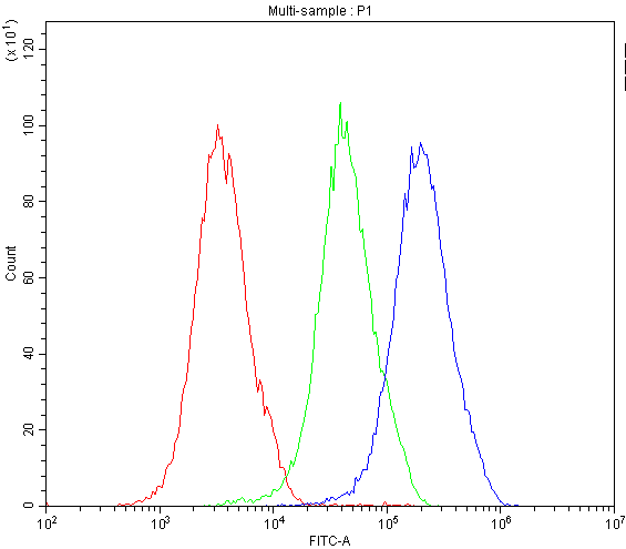 MVP / VAULT1 Antibody