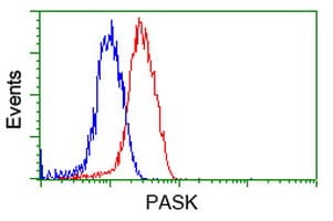 PAS Kinase / PASK Antibody (clone OTI8G9, Carrier-free)