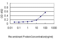 HEM45 / ISG20 Antibody (clone 1B2-3C9)
