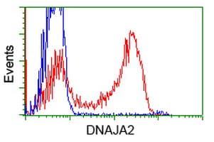 DNAJA2 Antibody (clone OTI3A10)