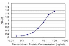 Monoclonal Mouse anti-Human CENPA / CENP-A Antibody (clone 1D4-1A3)