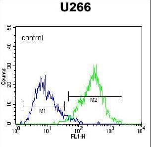 IHC-plus™ Monoclonal Mouse anti-Human SDC1 / Syndecan 1 / CD138 Antibody (aa210-238, IHC, IF, WB)