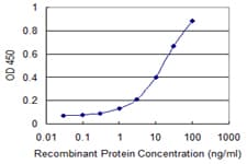 MED27 / CRSP8 Antibody (clone 8B8)