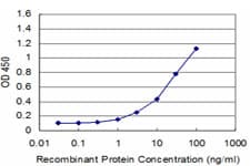 IHC-plus™ EN1 / Engrailed Antibody (clone 3H2)