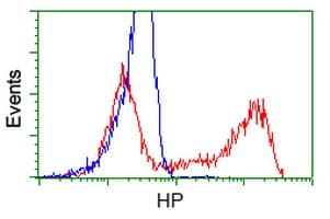 HP / Haptoglobin Antibody (clone OTI2B8)