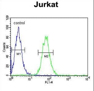 PTPN11 / SHP-2 / NS1 Antibody (aa520-547)