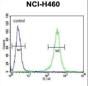 FAM49A Antibody (aa5-33)