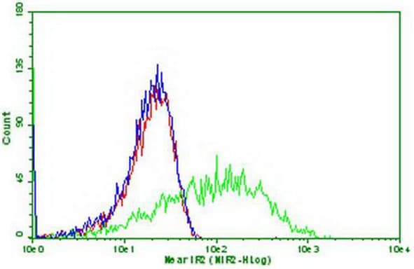 PDCD1 / CD279 / PD-1 Antibody (clone OTI16D4)