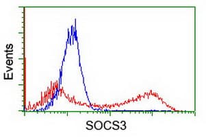 SOCS3 Antibody (clone OTI6C2)
