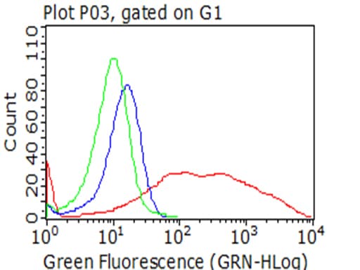 CTAG1B / NY-ESO-1 Antibody (clone UMAB73)