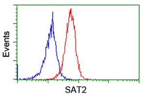 SAT2 Antibody (clone OTI1C9)
