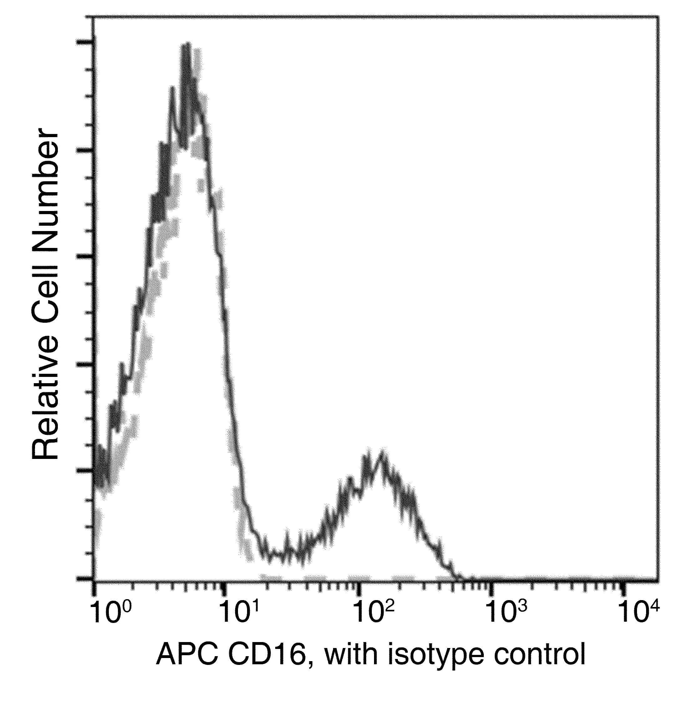 FCGR3A / CD16A Antibody (clone 41, APC)