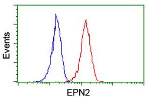 EPN2 Antibody (clone OTI1C2)