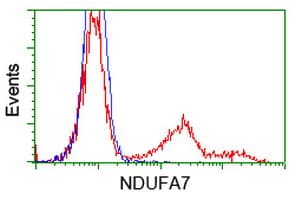 NDUFA7 Antibody (clone OTI5G6)