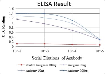 SMN1 Antibody (clone 2F1)