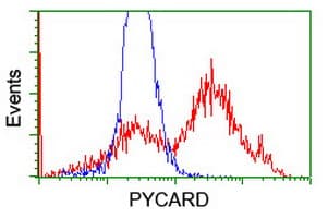 PYCARD / ASC / TMS1 Antibody (clone OTI3E9, Carrier-free)