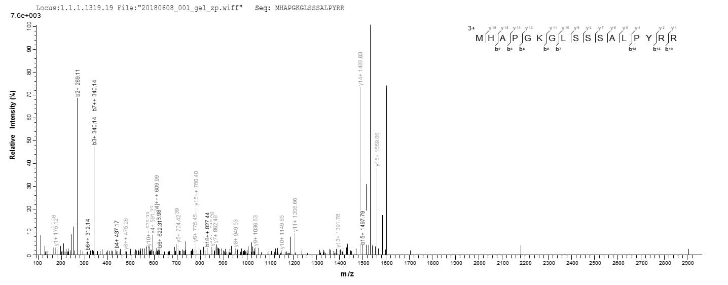 Ciona intestinalis RPS13 / Ribosomal Protein S13 (Recombinant 6His, N-terminus)