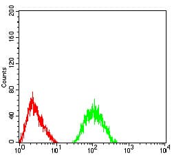 Monoclonal Mouse anti-Human GRIA2 / GLUR2 Antibody (clone 7A7A3, IHC, WB)