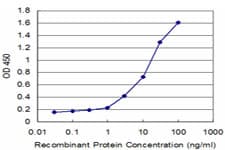 Monoclonal Mouse anti-Human SRSF6 / SRP55 Antibody (clone 5G6, WB)