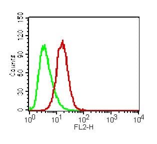 VISA / MAVS Antibody