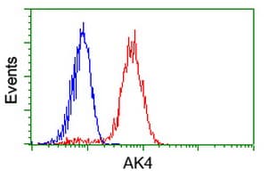 AK4 / Adenylate Kinase 4 Antibody (clone OTI7E5)