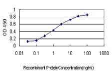 NRF1 / NRF-1 Antibody (clone 2F9)