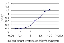 Monoclonal Mouse anti-Human THTPA Antibody (clone 3F6, WB)