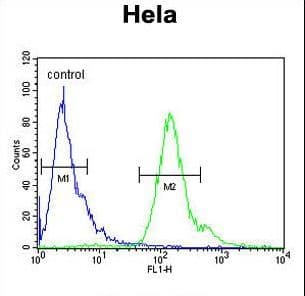 MMGT1 Antibody (aa103-131)