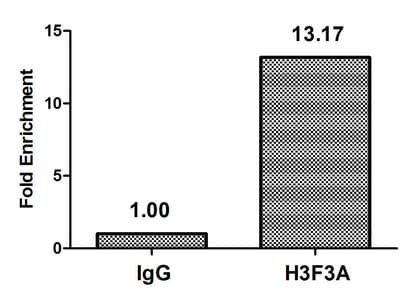 H3F3B Antibody
