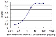 CDH2 / N Cadherin Antibody (clone 5C8)