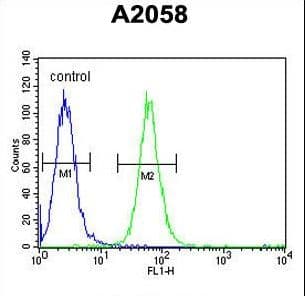 Polyclonal Rabbit anti-Human ABHD14B Antibody (aa150-179, IHC, WB)