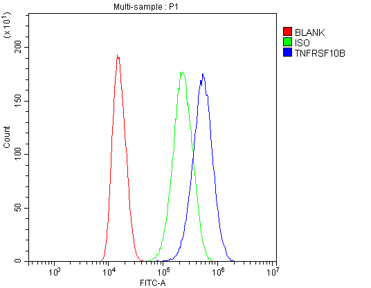 TNFRSF10B / Killer / DR5 Antibody