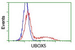 UBOX5 Antibody (clone OTI 7G1)