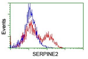 IHC-plus™ SERPINE2 / Nexin Antibody (clone 4E4)