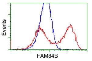 FAM84B Antibody (clone OTI5G1)