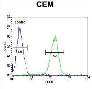 SFR1 / C10orf78 Antibody (aa1-30)