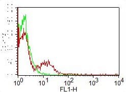 PECAM-1 / CD31 Antibody (clone PECAM-1, FITC)