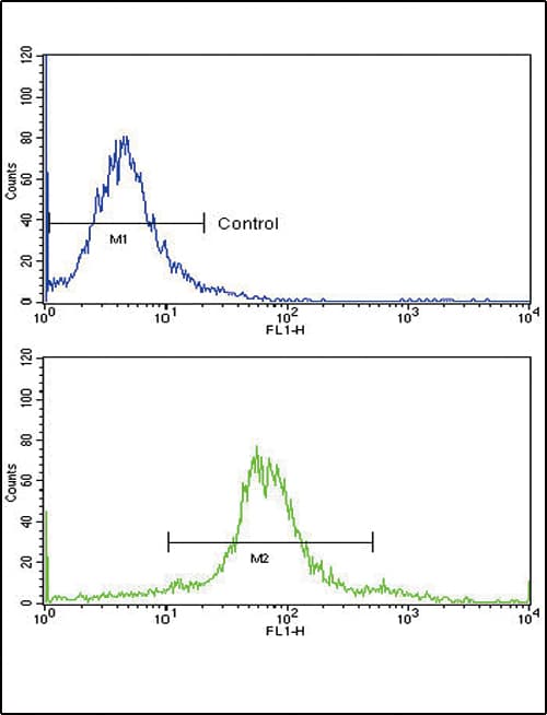 PEA3 / ETV4 Antibody (aa419-447)