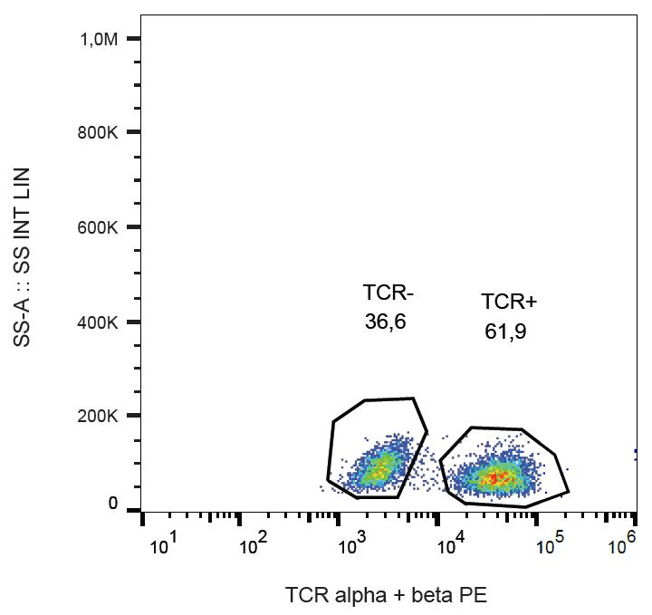 TCR Alpha + TCR Beta Antibody (clone IP26, PE)